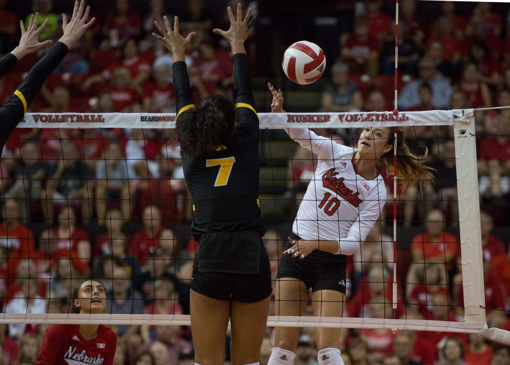 Volleyball vs. Iowa